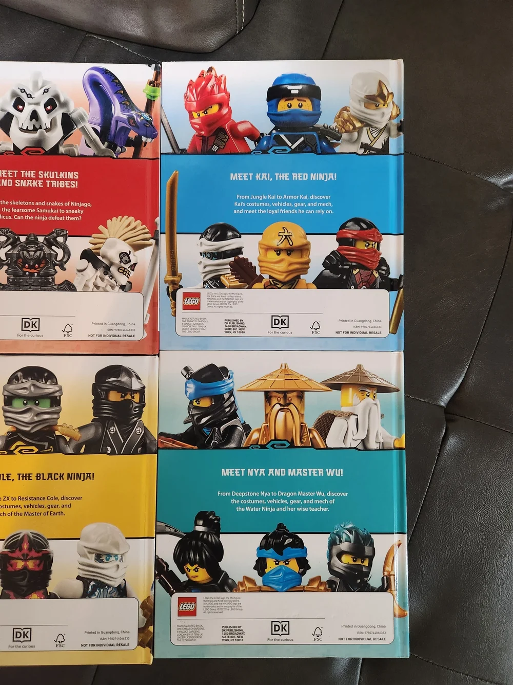 6 LEGO NINJAGO Character Collection - Multi-Color Book Set